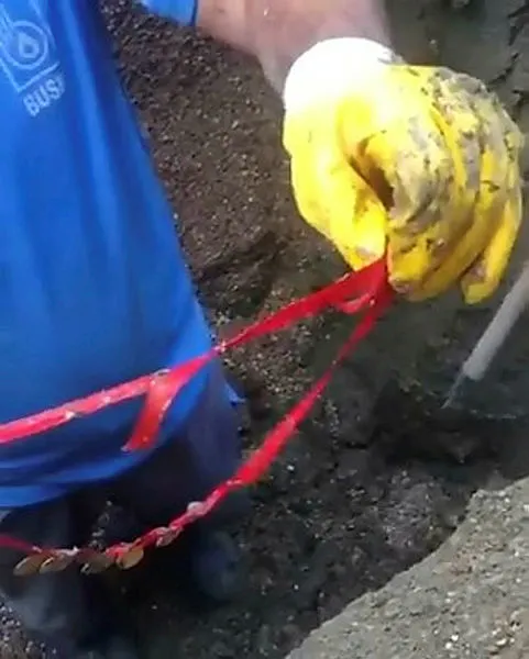 Tuvalette düşürülen 10 çeyrek altın kanalizasyonda bulundu - 2