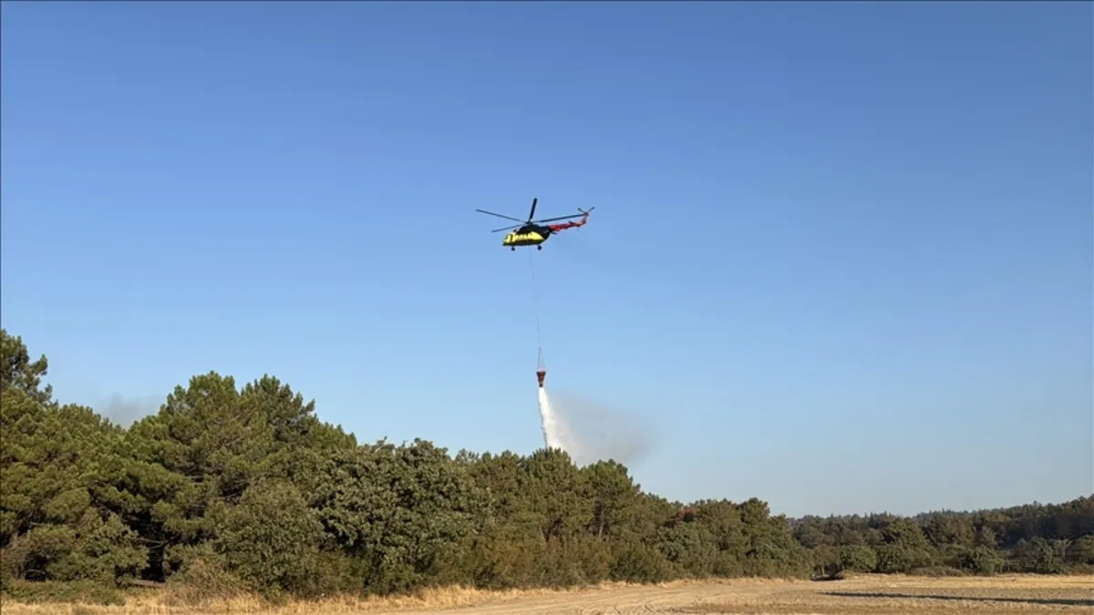 Bolu'da otluk alandaki yangın evlere sıçramadan söndürüldü