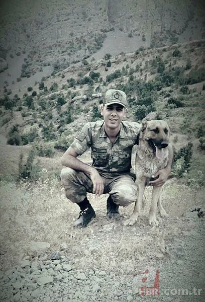 İdlib (İdlip) şehitleri kimdir? İdlib şehitleri isimleri ve memleketleri! İdlib (İdlip) şehitleri kimdir? İdlib şehitleri isimleri ve memleketleri!