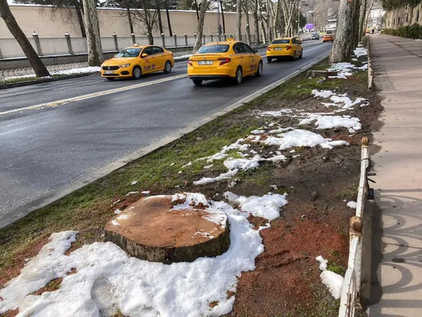 İBB’nin Çırağan Caddesi’ndeki ağaç katliamına tepkiler çığ gibi büyüdü! AK Parti’den sert açıklama: Sessiz mi kalacaksınız!