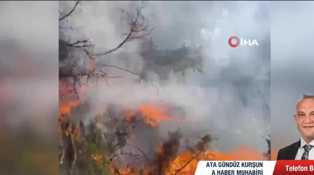Kütahya'da orman yangını meydana geldi