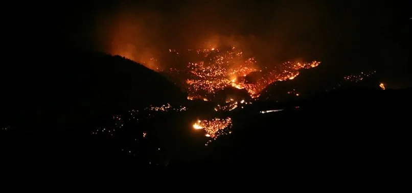 Nevşehir Belediyesi Hatay’a ilk etapta bir tır yetişmiş fidan gönderecek
