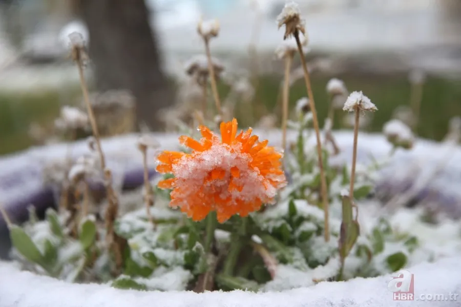 Meteorolojiden SON DAKİKA kar yağışı uyarısı! Hangi illere kar yağdı? İşte Türkiye'den kar manzaraları! 1