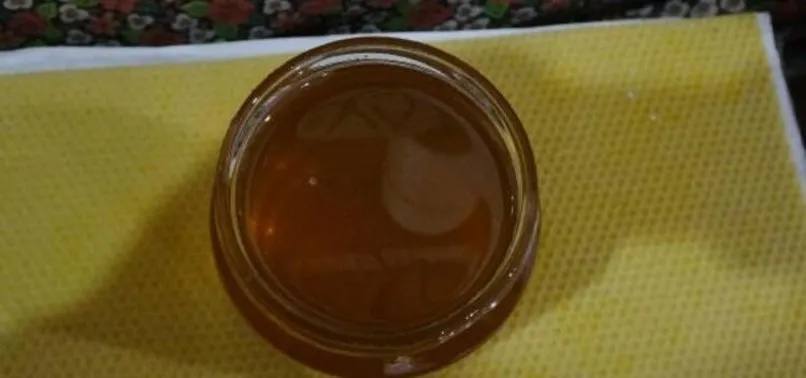 Karadeniz'de 'deli bal' tehlikesi | Ölüme bile neden olabilir! Deli bal nedir?