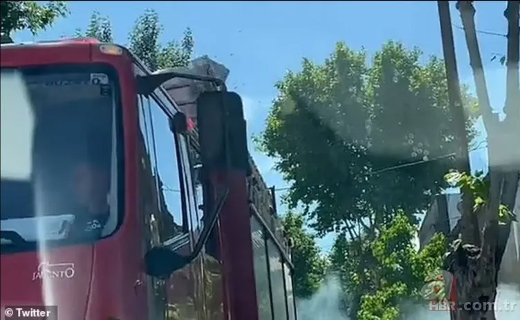 Sürü halinde ortaya çıkıp saldırdılar! İnsanlar araçlarını olduğu yerde bırakıp kaçıştı… 5