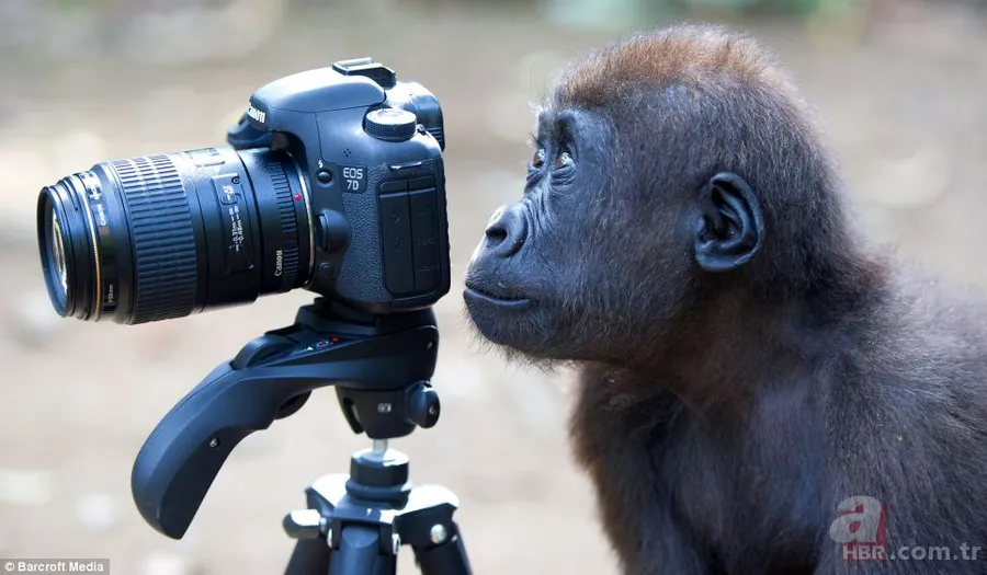 Erzurum'da görenleri şaşırtan anlar! Hemen telefona sarıldılar 14