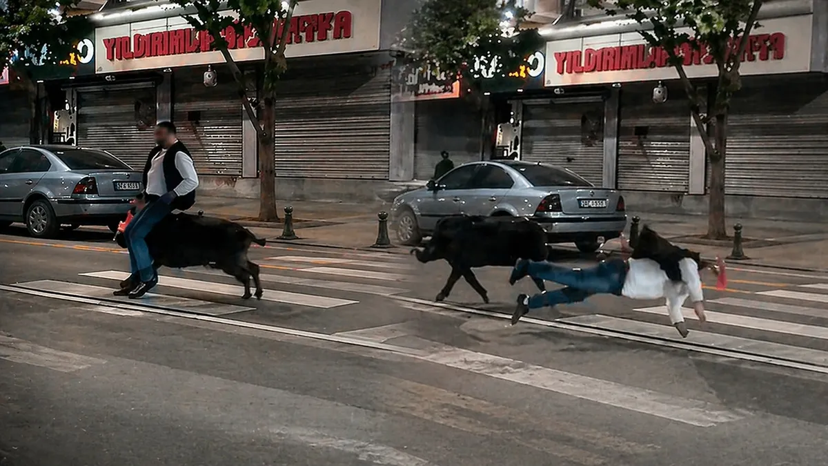 Yaya geçidinde domuz saldırdı! 3 yaralı