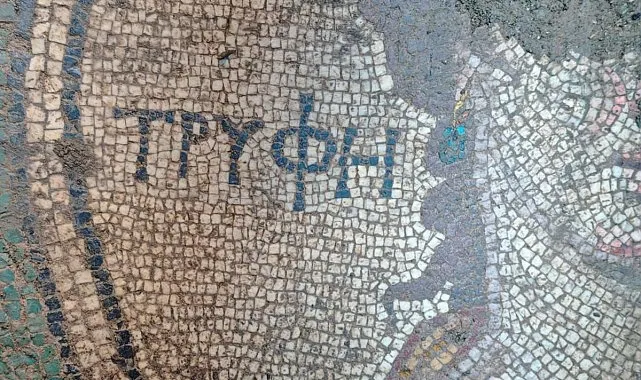 Tokat'ta izinsiz kazıda Antik Yunanca yazı olan mozaik bulundu - 1