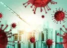 Türk bilim insanından korkutan mutant virüs açıklaması