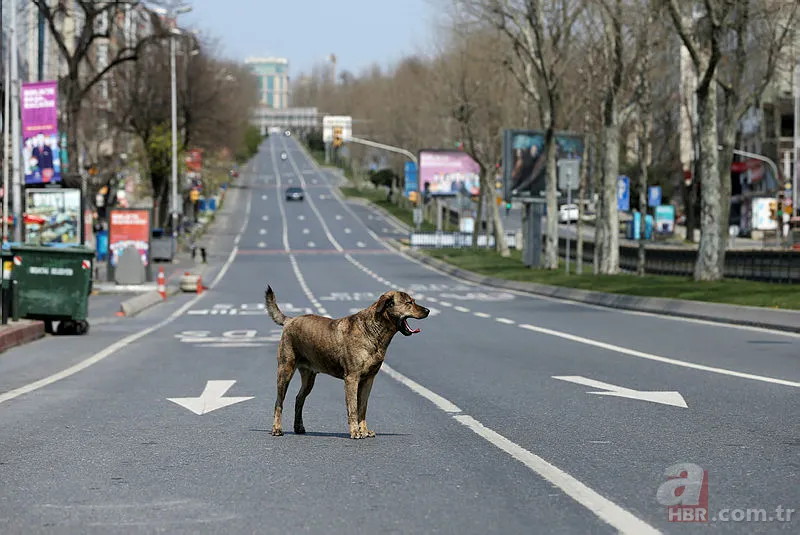 Sokağa çıkma yasağı ne zaman, saat kaçta başlıyor? Sokağa çıkma yasağı kaç gün? Hangi günler olacak? 11