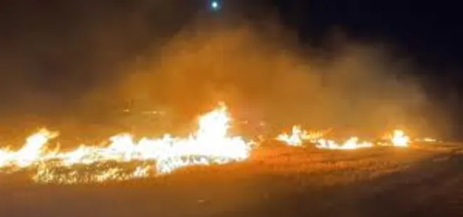 Mardin'de çıkan anız yangını söndürüldü