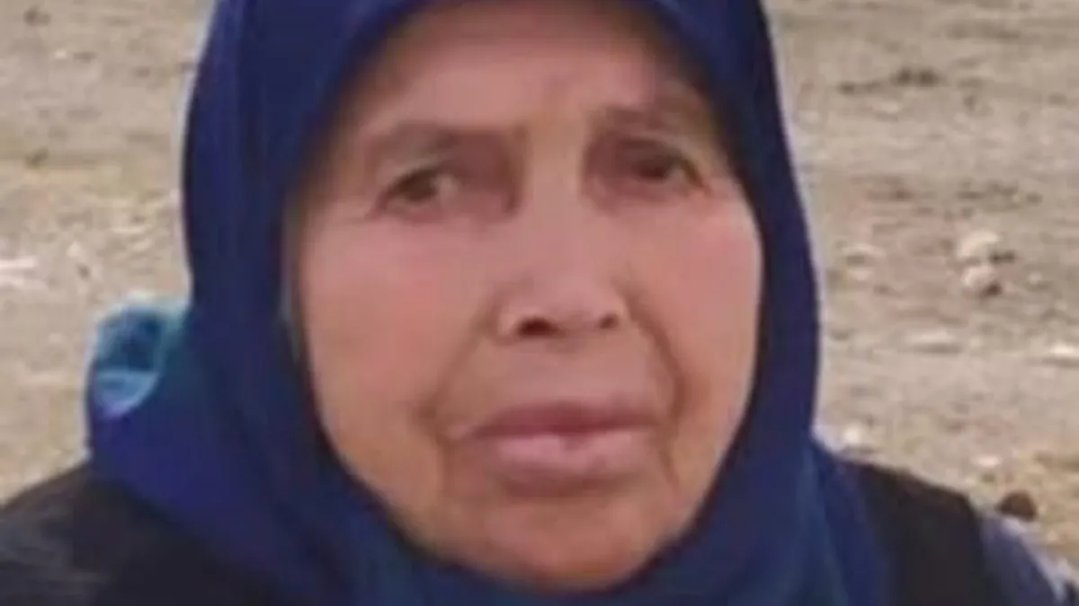 Gelin kayınvalidesi döverek öldürdü iddiası: Ankara'da feci olay