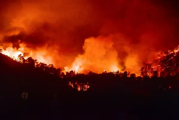 Muğla’da 4 farklı bölgede yangın kontrol altına alındı