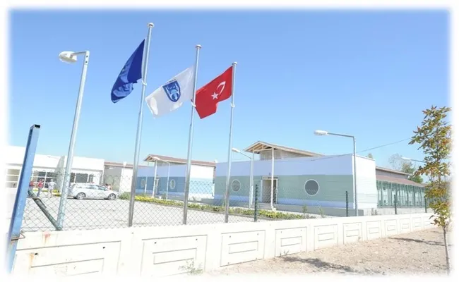 Ankara’da belediye bakımevinde ’20 kediye ötanazi’ yapıldı! Personelin iş akdi sonlandırıldı