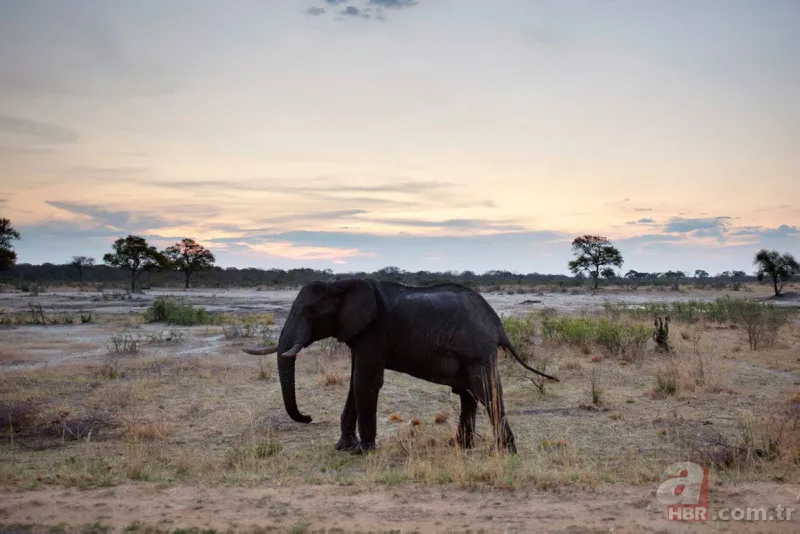 Bilim insanları geliştirdi! Artık uzaydan sayılabilecekler