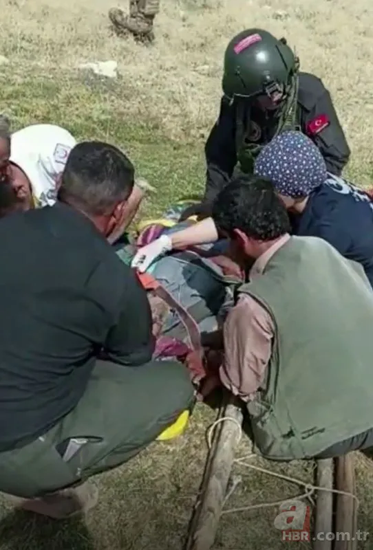 Siirt'te korkunç olay! Hayvanları otlatan çobana yaban domuzları saldırdı 1