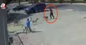 Pitbull 8 yaşındaki çocuğa saldırdı