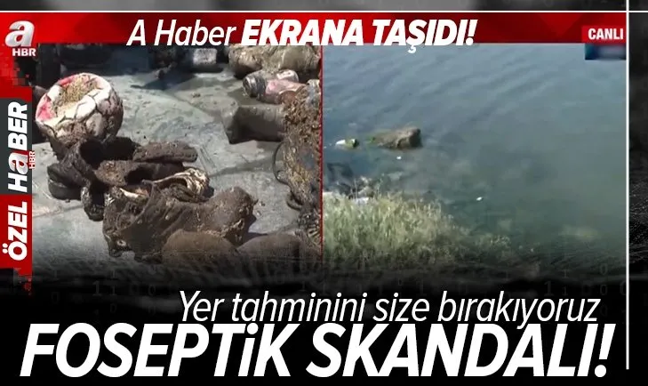 İzmir Körfezi'ni müsilaj değil kirlilik vurdu! İzmir Körfezi’nin kaderi değişecek mi?