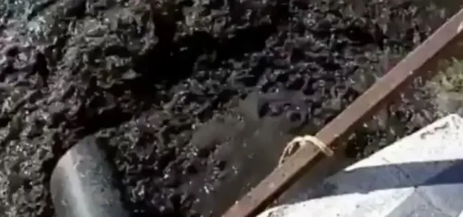 CHP İzmir’in geleceğini yok ediyor! Tunç Soyer’in çevre katliamına sert tepki