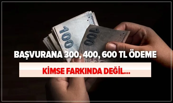 Başvurana 300, 400, 600 TL ödeme! Kimse bu ödemelerin farkında değil! Başvuru şartları belli oldu...