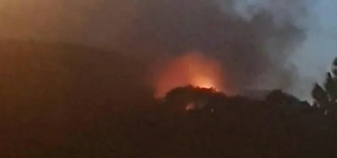 İstanbul Maltepe’de orman yangını! Yangın kontrol altına alındı