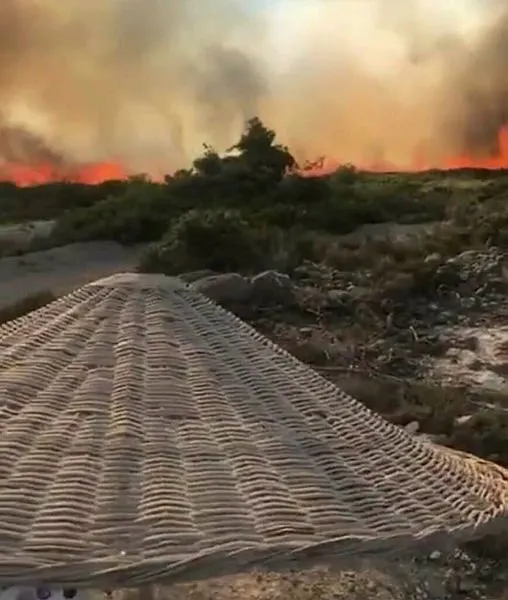 Son Dakika Cesme Alacati Da Orman Yangini A Haber En Son Haberler