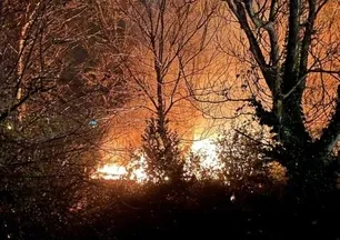 Zonguldak'ta ağaçlık alanda yangın paniği!