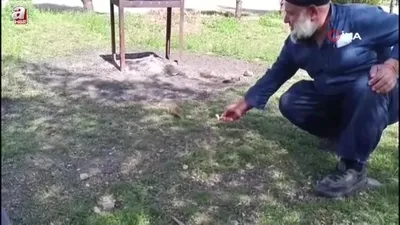 Havalar ısındı gelengiler ortaya çıktı