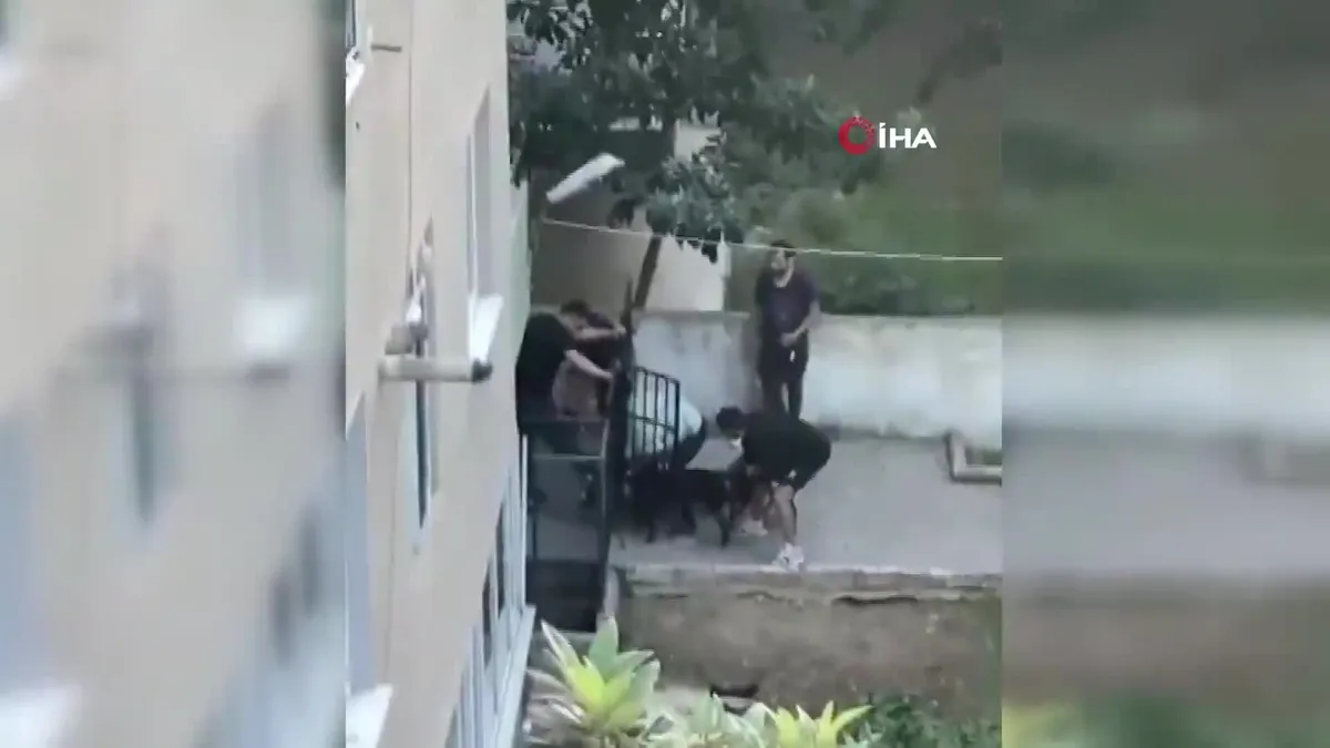 Tasmasız pitbull gence saldırdı!