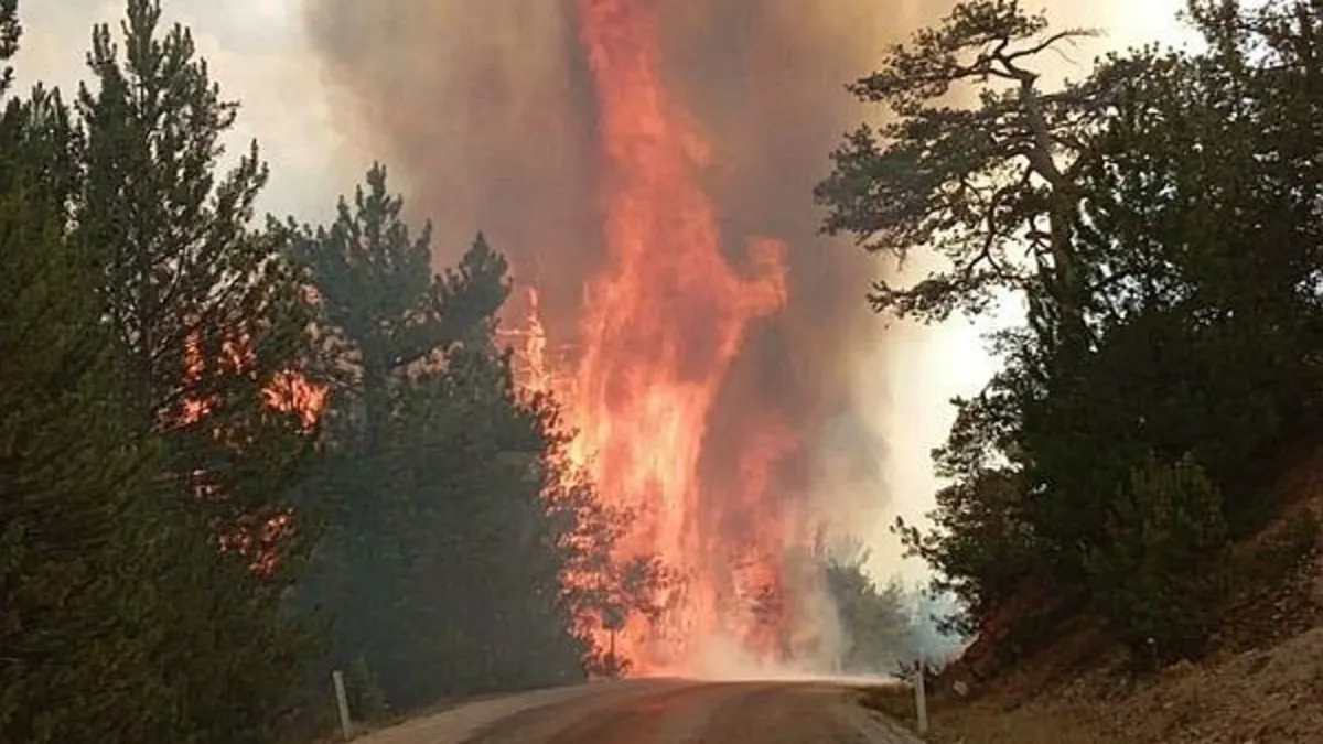 Bolu'da orman yangını! Alevler kontrol altına alındı