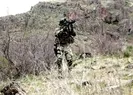 Pençe-Kilit bölgesinde PKK’ya darbe!