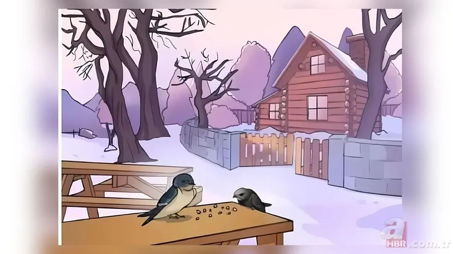 Zeka testi: Bu görseldeki gizli hata nerede? Sadece Sherlock Holmes gibi düşünenler buluyor 3