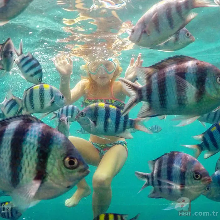 Dostu kansere yenik düşünce çocuğuyla dünyayı gezmeye başladı 5