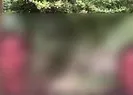 PKKdan kaçtılar jandarmaya sığındılar