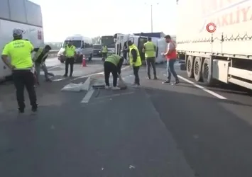 Pendik TEM Otoyolu'nda tır devrildi