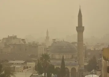 'Çevre kirliliği alzaymır riskini artırıyor'