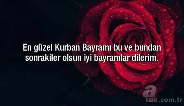 Kurban Bayramı içten, duygulu cep telefonu mesajları: Eşe, dosta, akrabaya en güzel bayram sözleri... 3