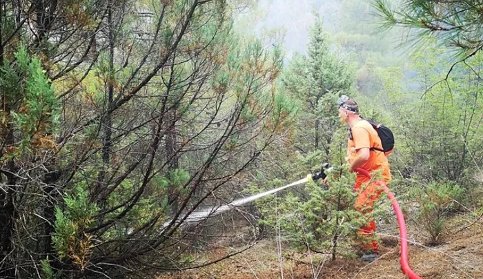 karabukte-orman-yangini-havadan-ve-karadan-mudahale-ile-alevler-kontrol-altinda-1720111470868.jpg Karabük'te orman yangını! Havadan ve karadan müdahale ile alevler kontrol altında