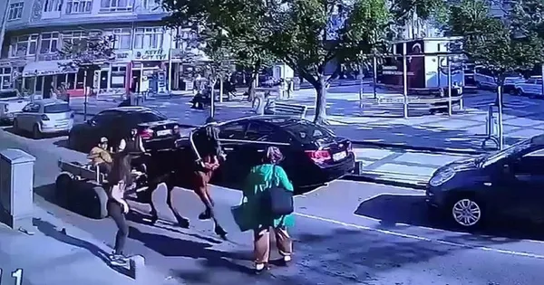 1686799244801.jpg Ters yöne girip dehşet saçtı! Yolun karşısına geçmek isteyen yayaya at arabası çarptı - 2