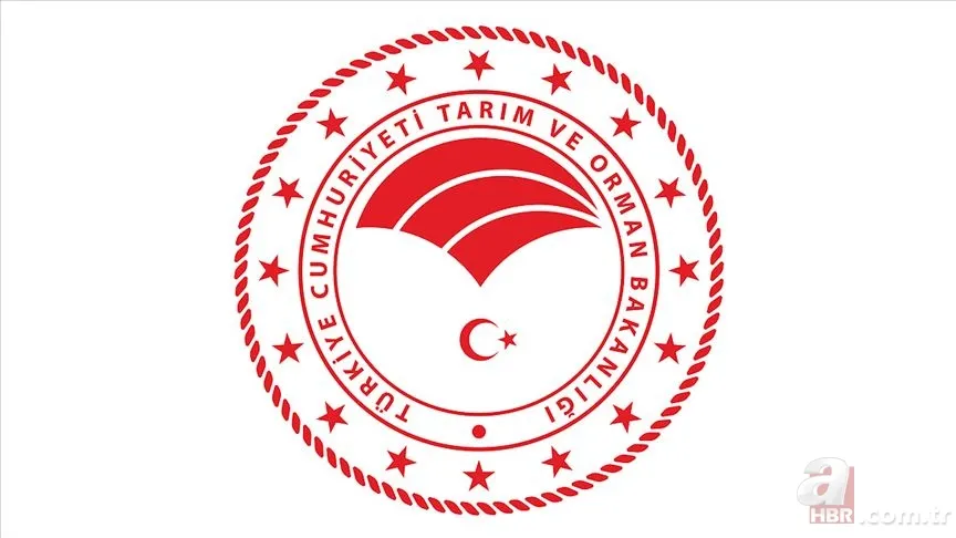 8500 işçi alımı başvuru ekranı açıldı mı? Tarım ve Orman Bakanlığı 8500 personel alımına kimler başvurabilir, şartlar neler? 1