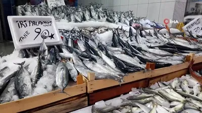 Lakerda zamanı! 2 kilosu bin TL