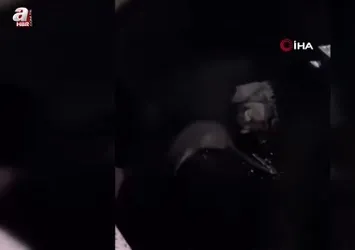 Hakkari Yüksekova’da su samuru görüntülendi