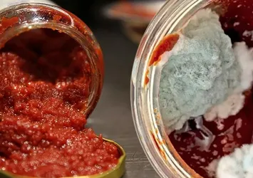 Salçaya bir çay bardağı dökün! Küften eser kalmayacak
