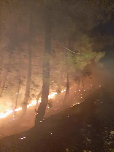 Muğla'daki yangın kontrol altına alındı - 2