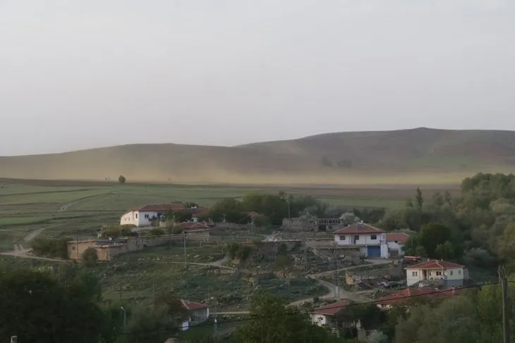 Yozgat’ta korkunç olay! Köy sinek istilası altında