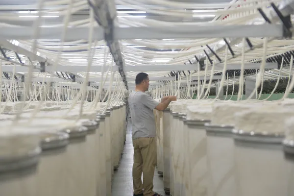 Kahramanmaraş’ta sanayi küllerinden doğuyor! Enkazdan çıkan makineler birer birer üretime geçiyor