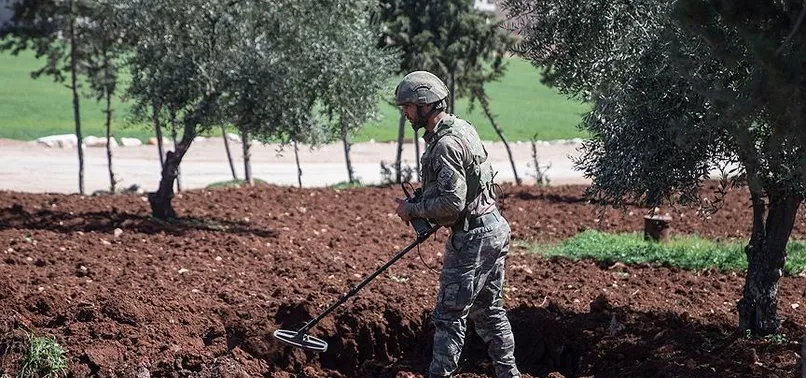 Kontrol altına alınan Afrin'den yeni bilgi