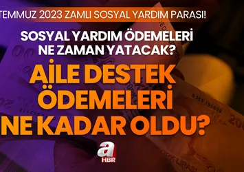 Zamlı Aile Destek paraları ne zaman yatacak? 2023 Temmuz ayı Aile Destek Ödemeleri yükseldi mi, ne kadar oldu?