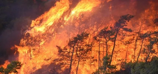 Alev kapanı Marmaris’i sardı! Uydu görüntüsü felaketi gözler önüne serdi