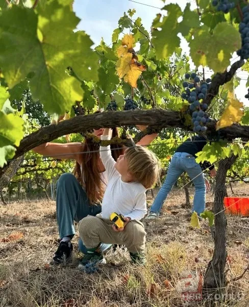 Kıvanç Tatlıtuğ ailesiyle bağ bozumuna gitti! Oğlu Kurt Efe'yle üzüm topladı 6